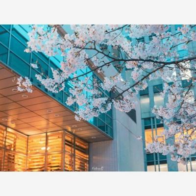 宝威体育官网app下载