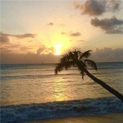 im电竞官方官网手机app下载