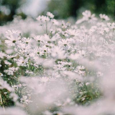 注册就送38的平台手机app下载