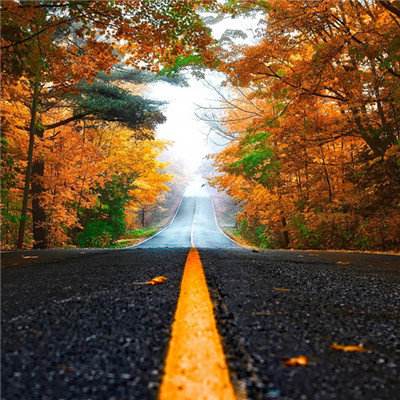 银河棋牌app下载