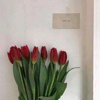 澳门威斯尼斯WNS888入口