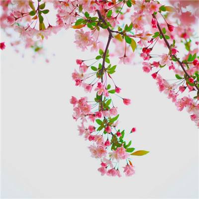 安博体育的最新版本手机app下载