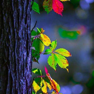 ag娱乐平台游戏中心